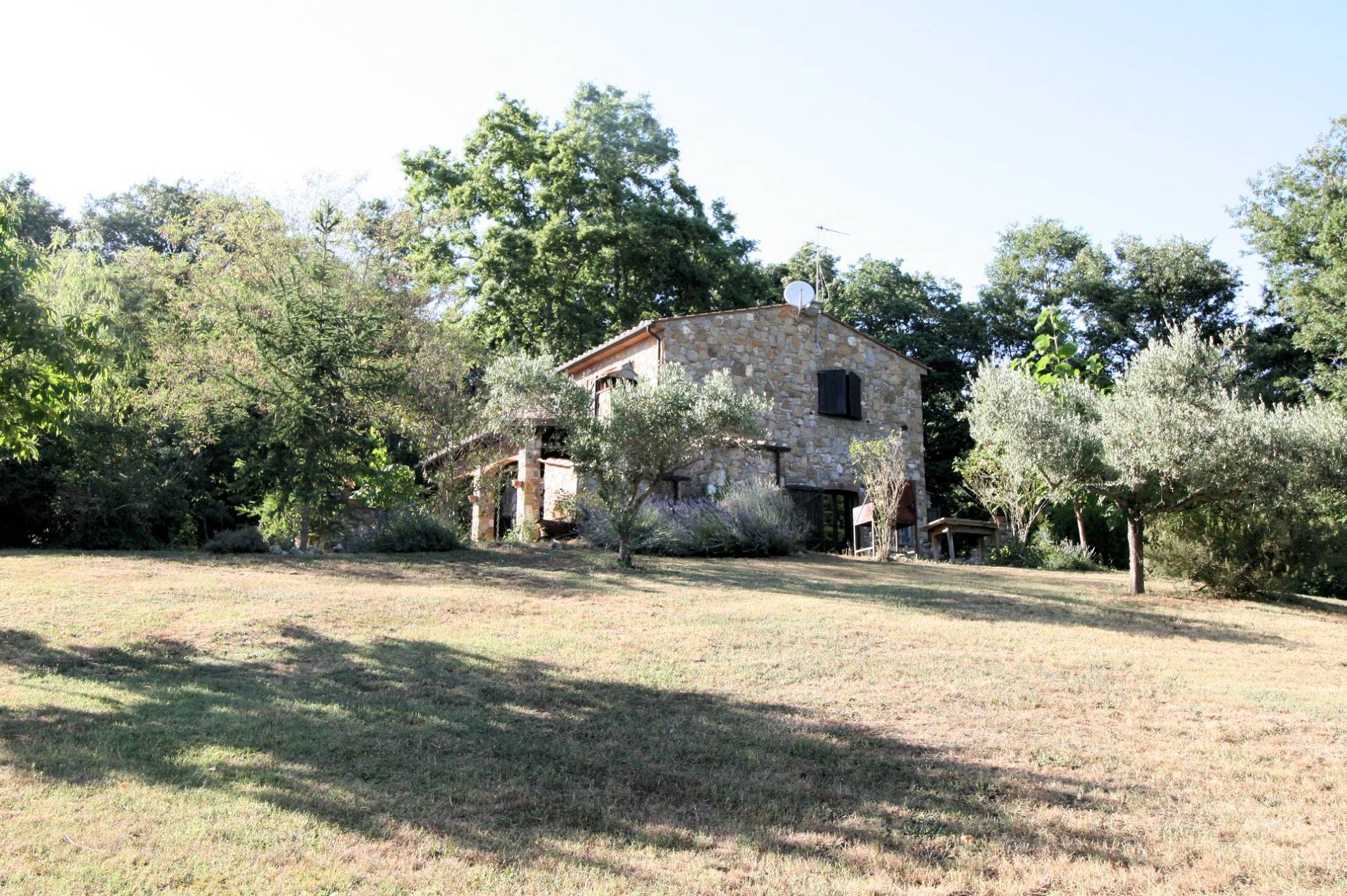 1361-Rustico in stile Toscano con dependances  immerso nel bosco-Montieri-1 Agenzia Immobiliare ASIP