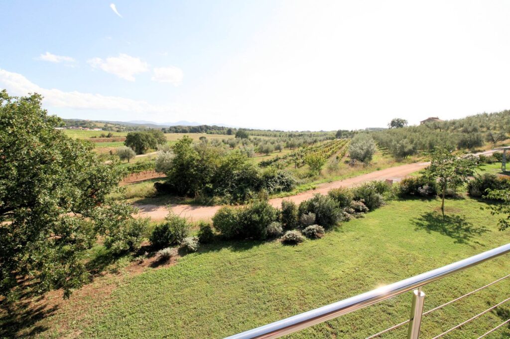 1379-Podere con ampio terreno e piscina-Massa Marittima-3 Agenzia Immobiliare ASIP