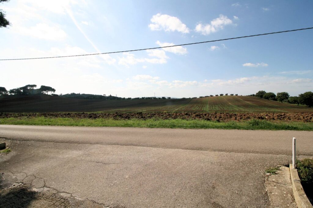 1381-Podere ex Ente Maremma di ampia superficie-Roccastrada-8 Agenzia Immobiliare ASIP