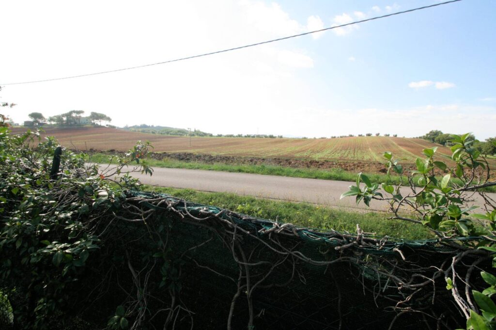1381-Podere ex Ente Maremma di ampia superficie-Roccastrada-5 Agenzia Immobiliare ASIP