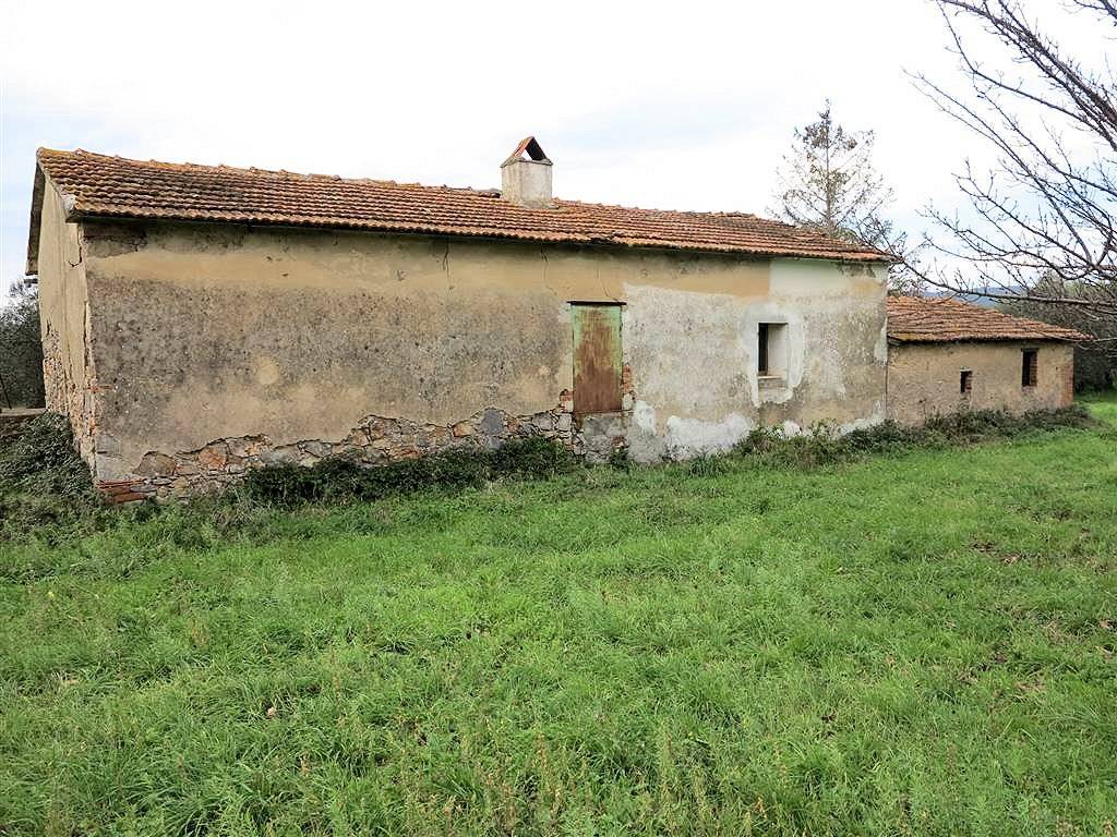 1193-Annesso agricolo da ristrutturare in splendida posizione-Gavorrano-4 Agenzia Immobiliare ASIP