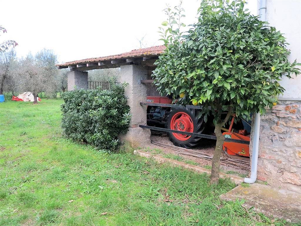 1193-Annesso agricolo da ristrutturare in splendida posizione-Gavorrano-12 Agenzia Immobiliare ASIP