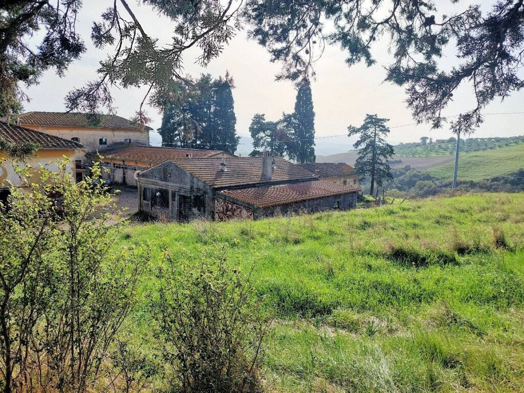 1258-Borgo di ampia superficie da ristrutturare-Volterra-8 Agenzia Immobiliare ASIP