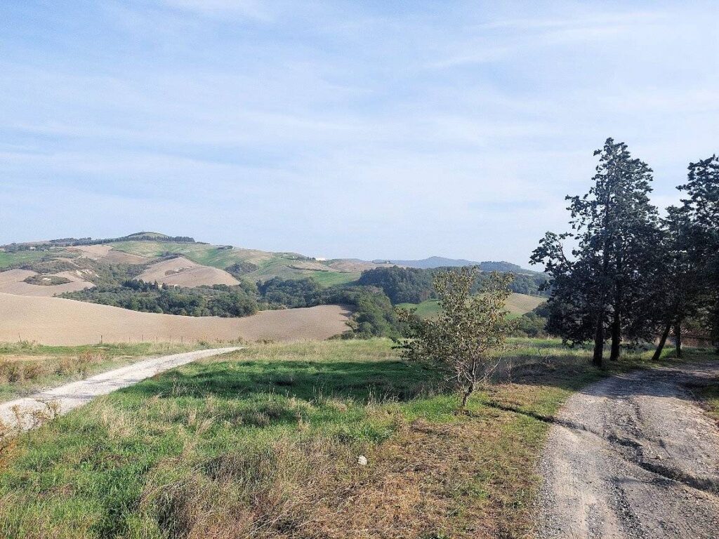1258-Borgo di ampia superficie da ristrutturare-Volterra-3 Agenzia Immobiliare ASIP