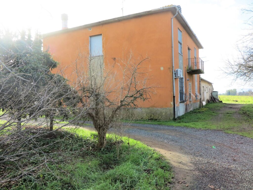 1184-Podere ex Ente Maremma di ampia superficie-Roccastrada-3 Agenzia Immobiliare ASIP