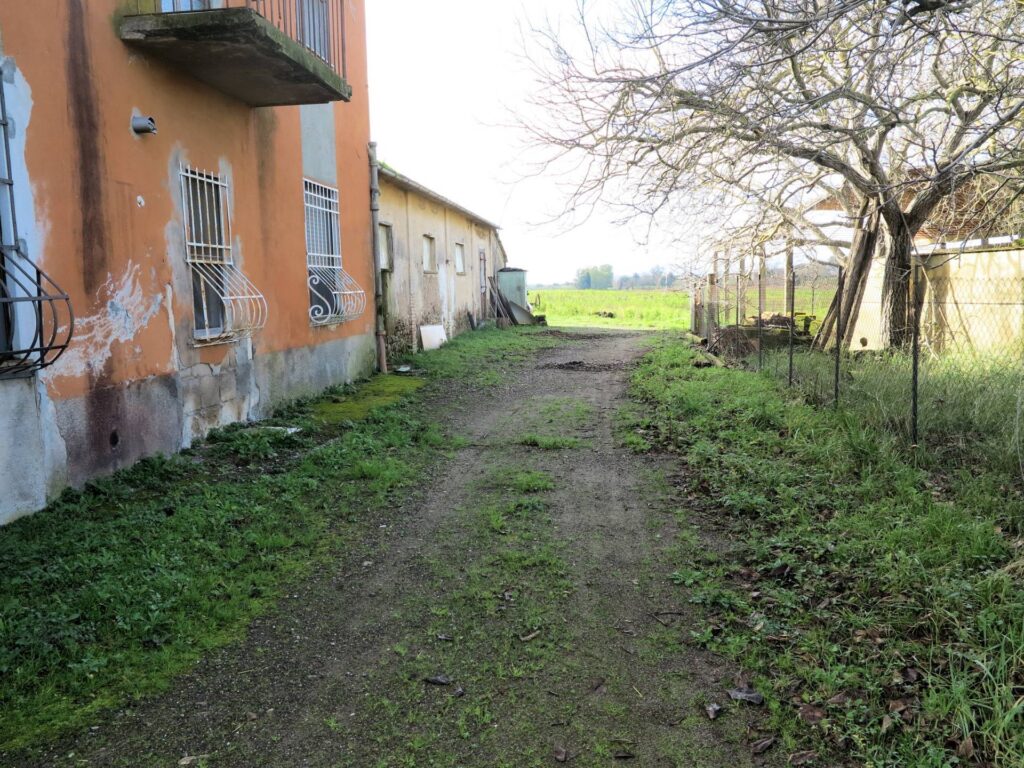 1184-Podere ex Ente Maremma di ampia superficie-Roccastrada-7 Agenzia Immobiliare ASIP