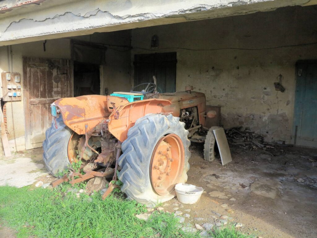 1184-Podere ex Ente Maremma di ampia superficie-Roccastrada-9 Agenzia Immobiliare ASIP