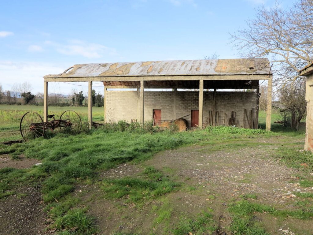 1184-Podere ex Ente Maremma di ampia superficie-Roccastrada-6 Agenzia Immobiliare ASIP
