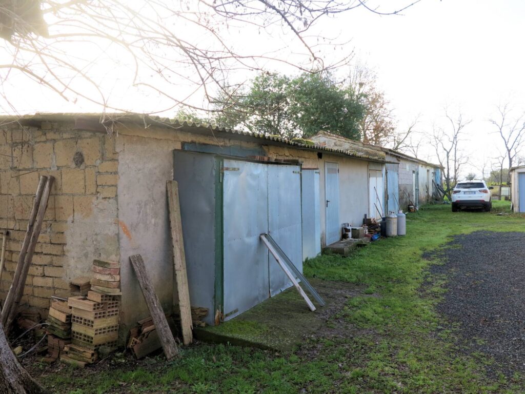 1184-Podere ex Ente Maremma di ampia superficie-Roccastrada-12 Agenzia Immobiliare ASIP