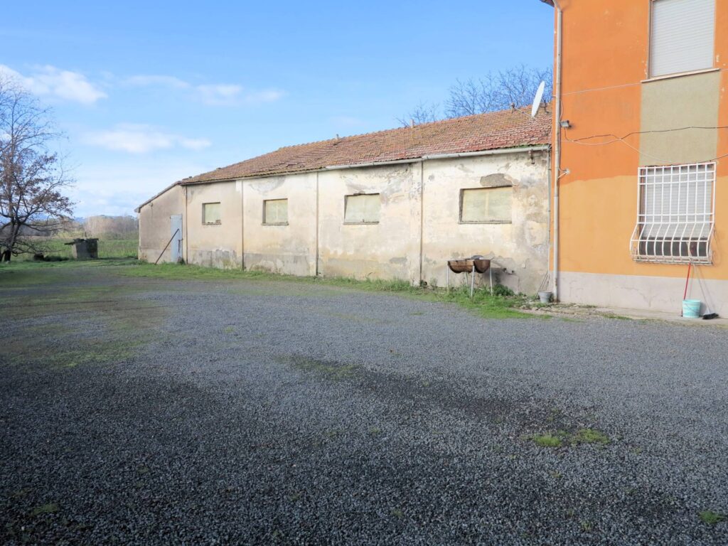 1184-Podere ex Ente Maremma di ampia superficie-Roccastrada-10 Agenzia Immobiliare ASIP