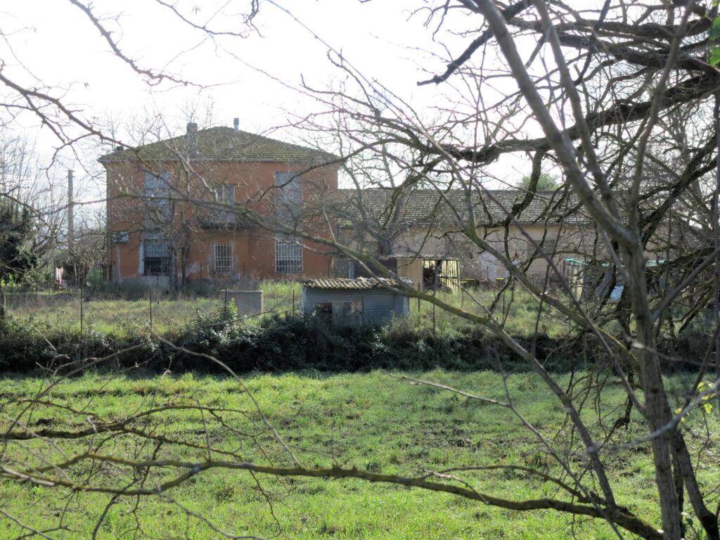 1184-Podere ex Ente Maremma di ampia superficie-Roccastrada-5 Agenzia Immobiliare ASIP