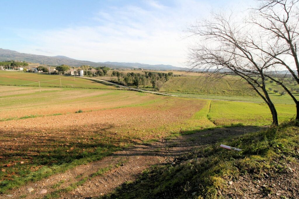 1399-Podere con ampio terreno in posizione panoramica vicino al mare-Roccastrada-3 Agenzia Immobiliare ASIP