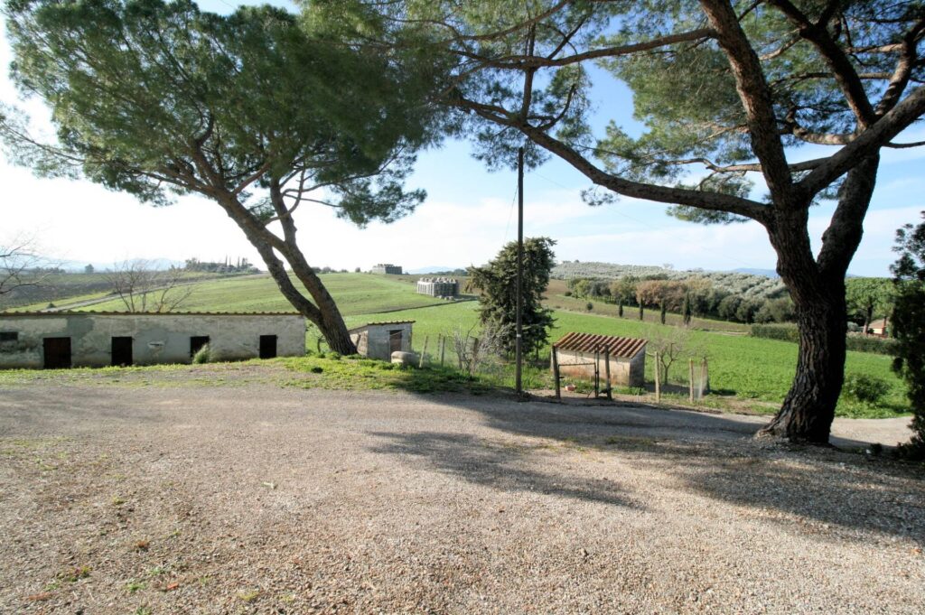 1399-Podere con ampio terreno in posizione panoramica vicino al mare-Roccastrada-2 Agenzia Immobiliare ASIP