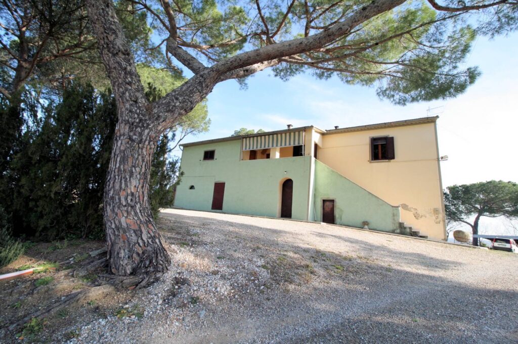 1399-Podere con ampio terreno in posizione panoramica vicino al mare-Roccastrada-5 Agenzia Immobiliare ASIP