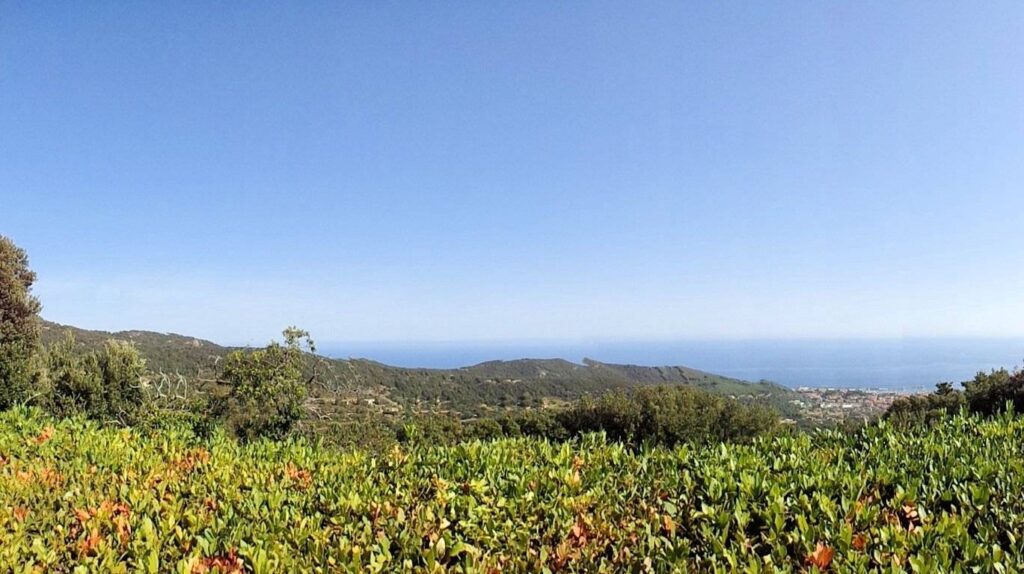 1400-Porzione terratetto libero su tre lati con giardino e vista mare-Marciana-3 Agenzia Immobiliare ASIP