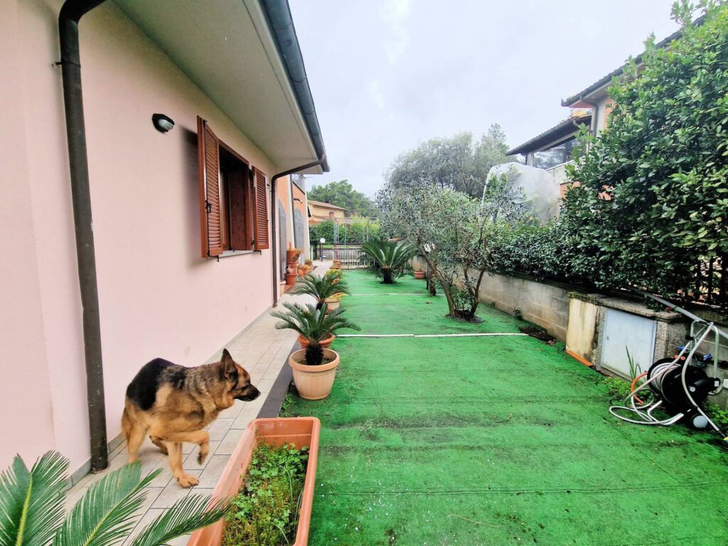 1192-Porzione terratetto di villa bifamiliare-Gavorrano-3 Agenzia Immobiliare ASIP
