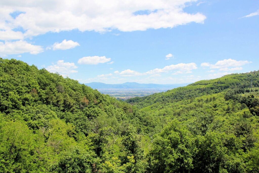 1411-Agriturismo in antico podere in stile Toscano con vista panoramica mozzafiato-Monsummano Terme-2 Agenzia Immobiliare ASIP