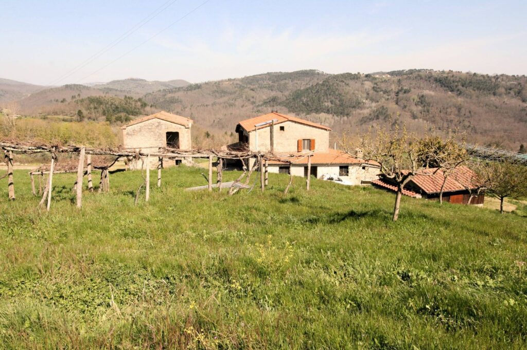 1418-Complesso immobiliare in stile rustico Toscano in posizione panoramica-Roccastrada-10 Agenzia Immobiliare ASIP