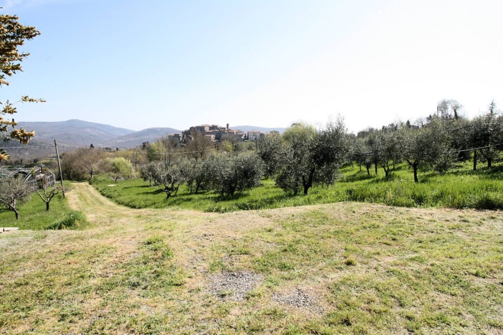 1418-Complesso immobiliare in stile rustico Toscano in posizione panoramica-Roccastrada-8 Agenzia Immobiliare ASIP