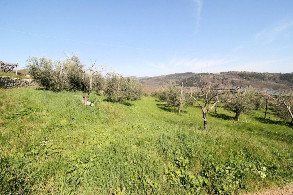 1418-Complesso immobiliare in stile rustico Toscano in posizione panoramica-Roccastrada-12 Agenzia Immobiliare ASIP
