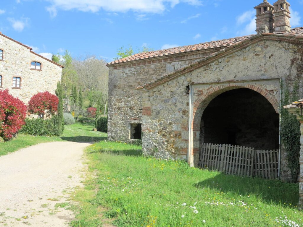 1419-Antico podere da ristrutturare-Montieri-6 Agenzia Immobiliare ASIP