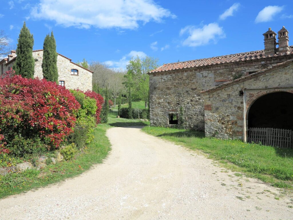 1419-Antico podere da ristrutturare-Montieri-3 Agenzia Immobiliare ASIP