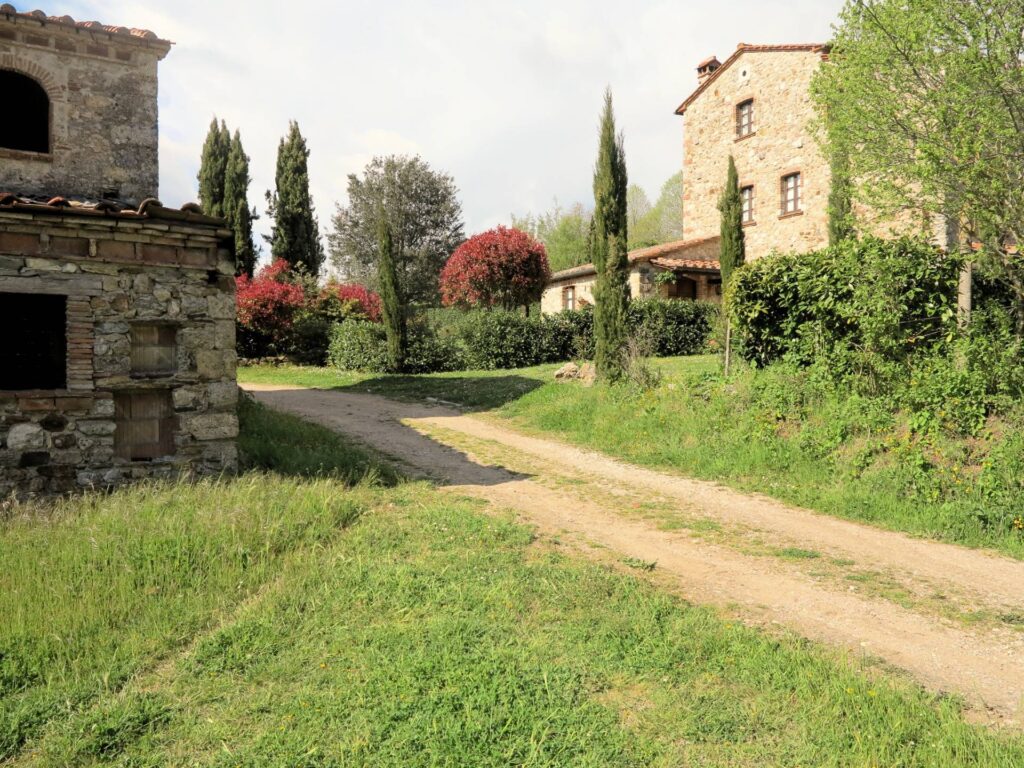 1419-Antico podere da ristrutturare-Montieri-5 Agenzia Immobiliare ASIP