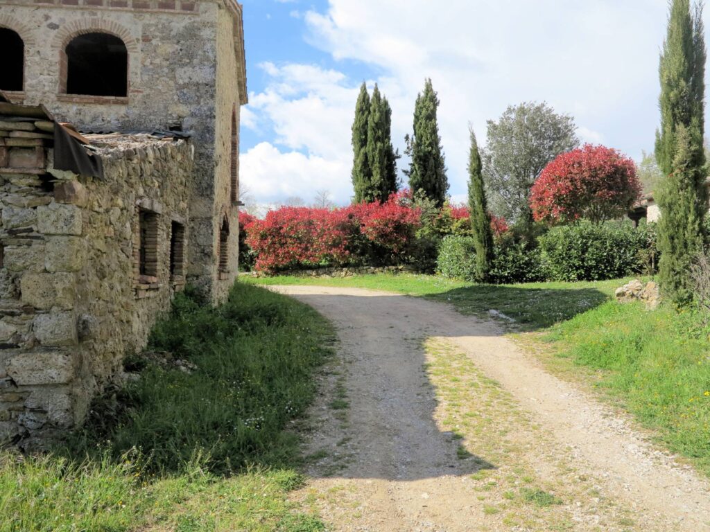 1419-Antico podere da ristrutturare-Montieri-7 Agenzia Immobiliare ASIP