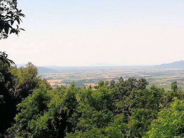 1420-Agriturismo in antico borgo ristrutturato con parco e piscina-Roccastrada-9 Agenzia Immobiliare ASIP