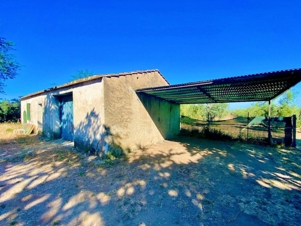 1424-Rustico con annesso agricolo da ristrutturare-Castagneto Carducci-5 Agenzia Immobiliare ASIP