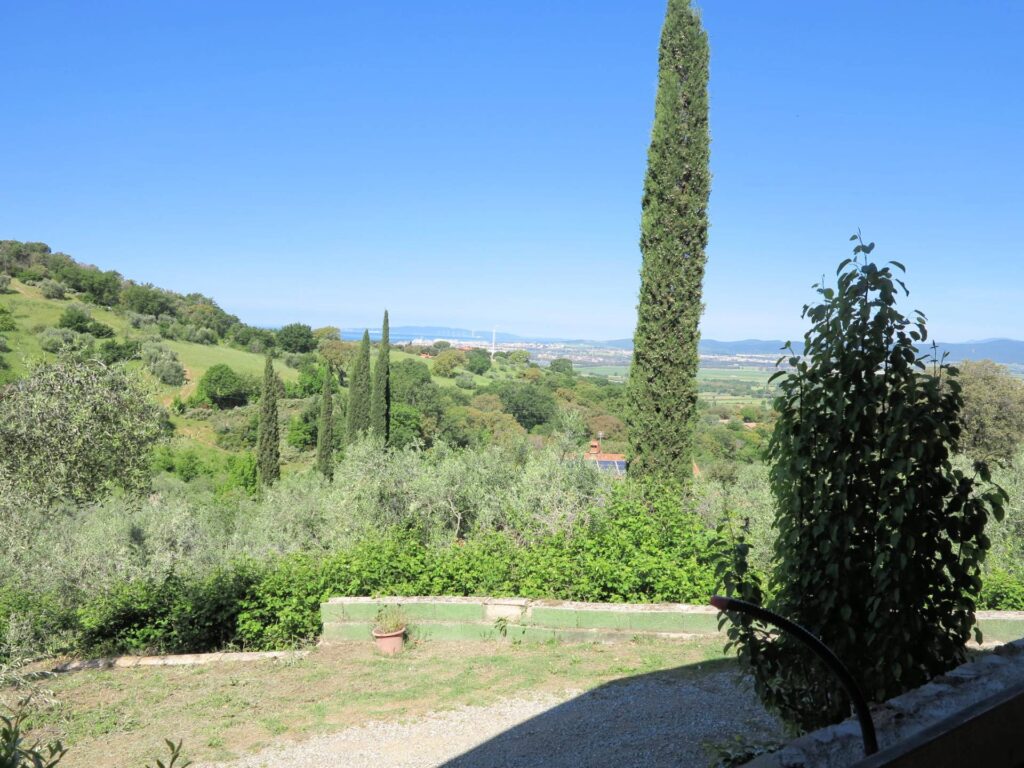 1426-Annesso agricolo con vista panoramica-Scarlino-6 Agenzia Immobiliare ASIP