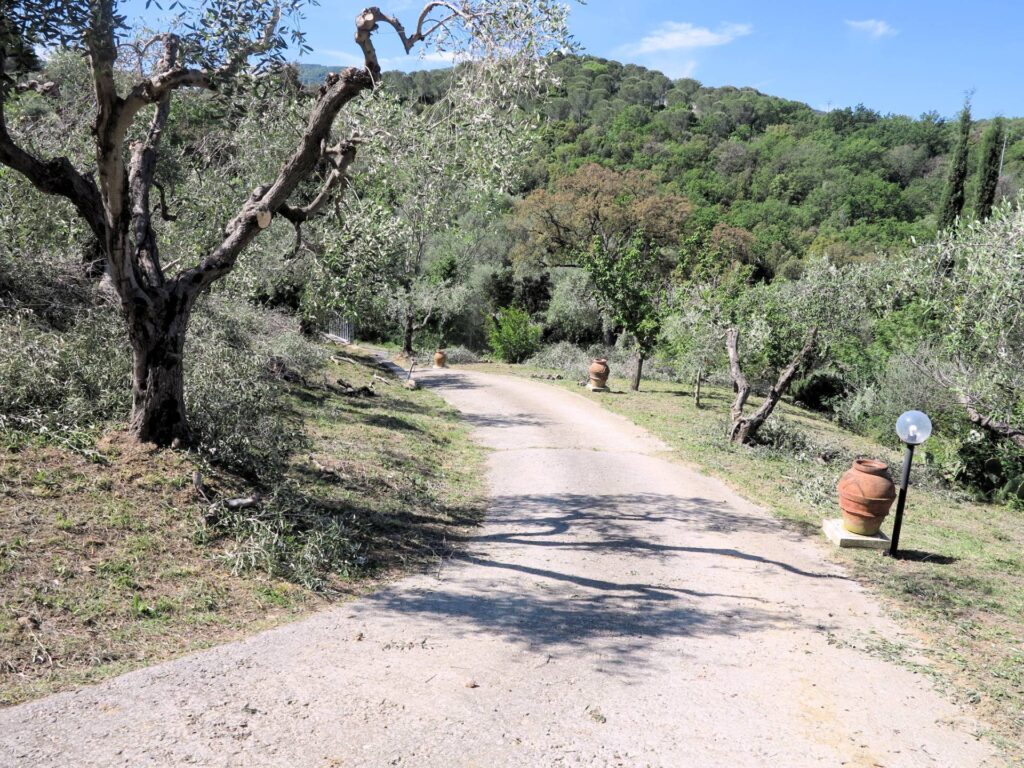 1426-Annesso agricolo con vista panoramica-Scarlino-10 Agenzia Immobiliare ASIP