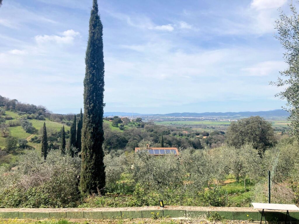 1426-Annesso agricolo con vista panoramica-Scarlino-2 Agenzia Immobiliare ASIP