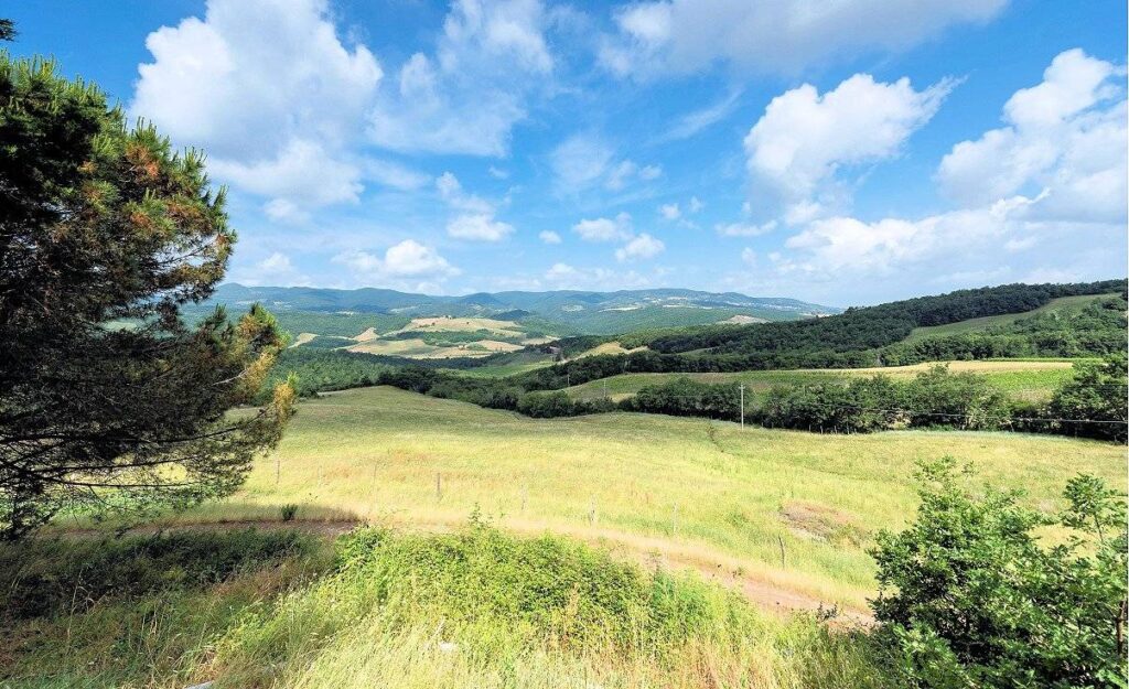 626-Azienda agricola con villa e piscina-Lajatico-3 Agenzia Immobiliare ASIP