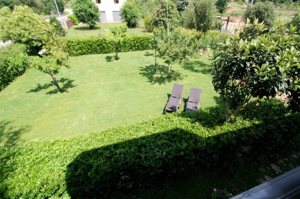 1433-Villa unifamiliare di ampia superficie con giardino-Civitella Paganico-7 Agenzia Immobiliare ASIP