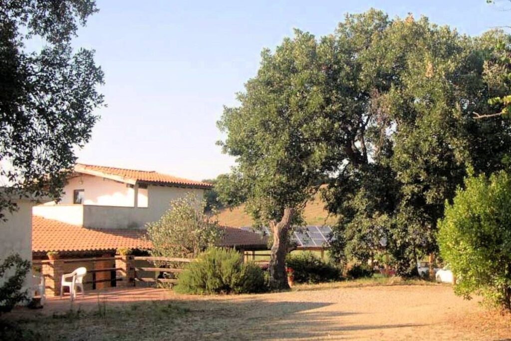 1434-Azienda agricola in posizione collinare con vista mare-Magliano in Toscana-6 Agenzia Immobiliare ASIP