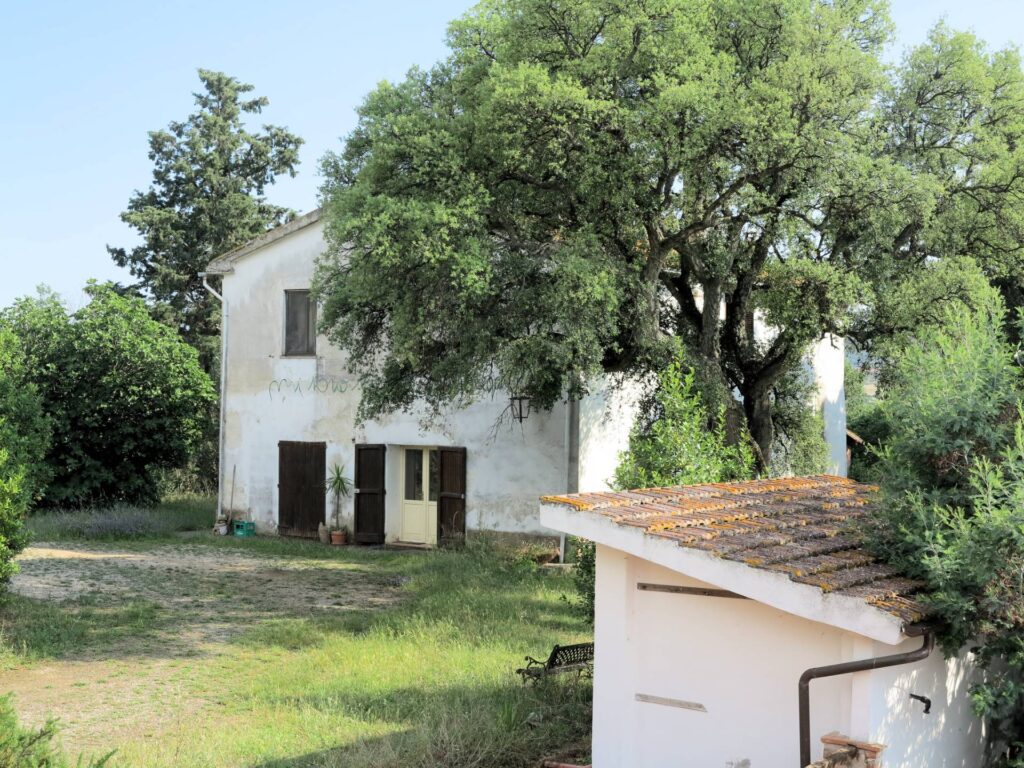 1434-Azienda agricola in posizione collinare con vista mare-Magliano in Toscana-16 Agenzia Immobiliare ASIP
