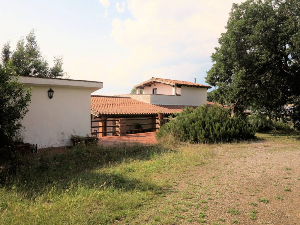 1434-Azienda agricola in posizione collinare con vista mare-Magliano in Toscana-18 Agenzia Immobiliare ASIP