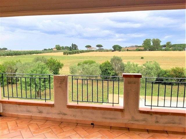 1445-Complesso immobiliare di ampia superficie con terreni-Capalbio-5 Agenzia Immobiliare ASIP