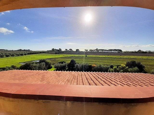 1445-Complesso immobiliare di ampia superficie con terreni-Capalbio-3 Agenzia Immobiliare ASIP