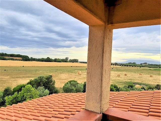 1445-Complesso immobiliare di ampia superficie con terreni-Capalbio-6 Agenzia Immobiliare ASIP