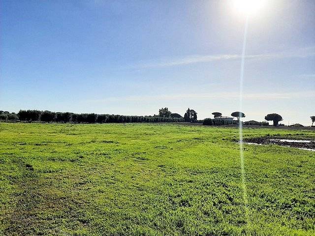 1445-Complesso immobiliare di ampia superficie con terreni-Capalbio-8 Agenzia Immobiliare ASIP