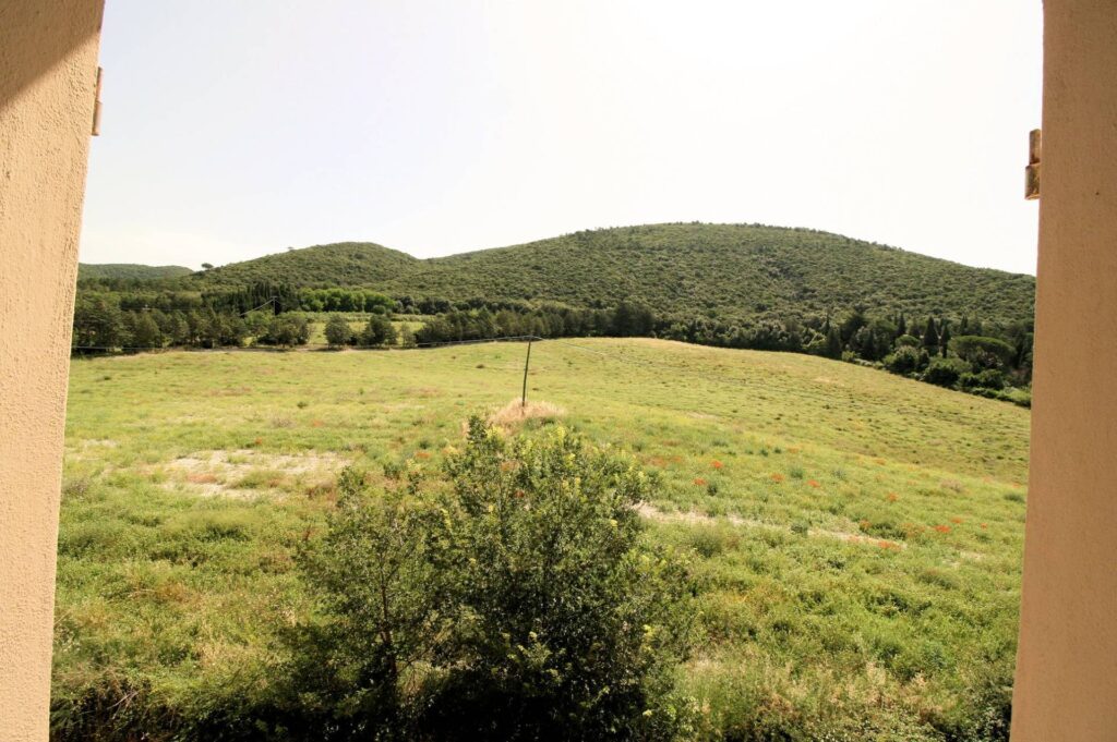 1446-Complesso immobiliare di ampia superficie da ristrutturare-Santa Luce-9 Agenzia Immobiliare ASIP