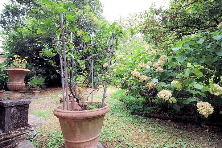 1452-Palazzo nobile del 1700 con giardino-Pescia-8 Agenzia Immobiliare ASIP
