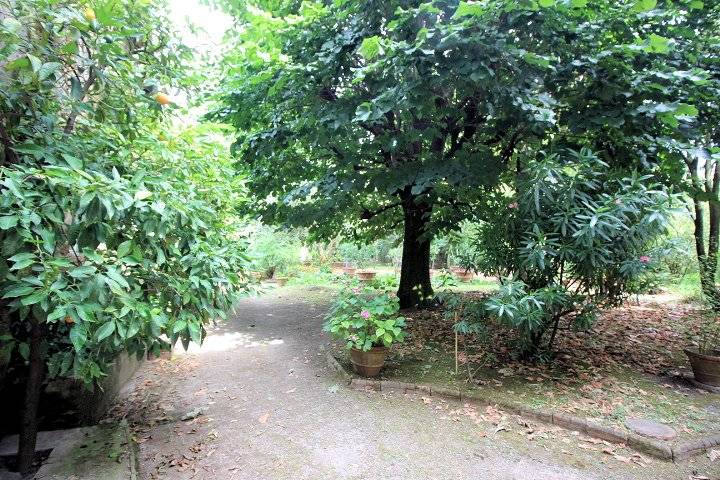 1452-Palazzo nobile del 1700 con giardino-Pescia-9 Agenzia Immobiliare ASIP