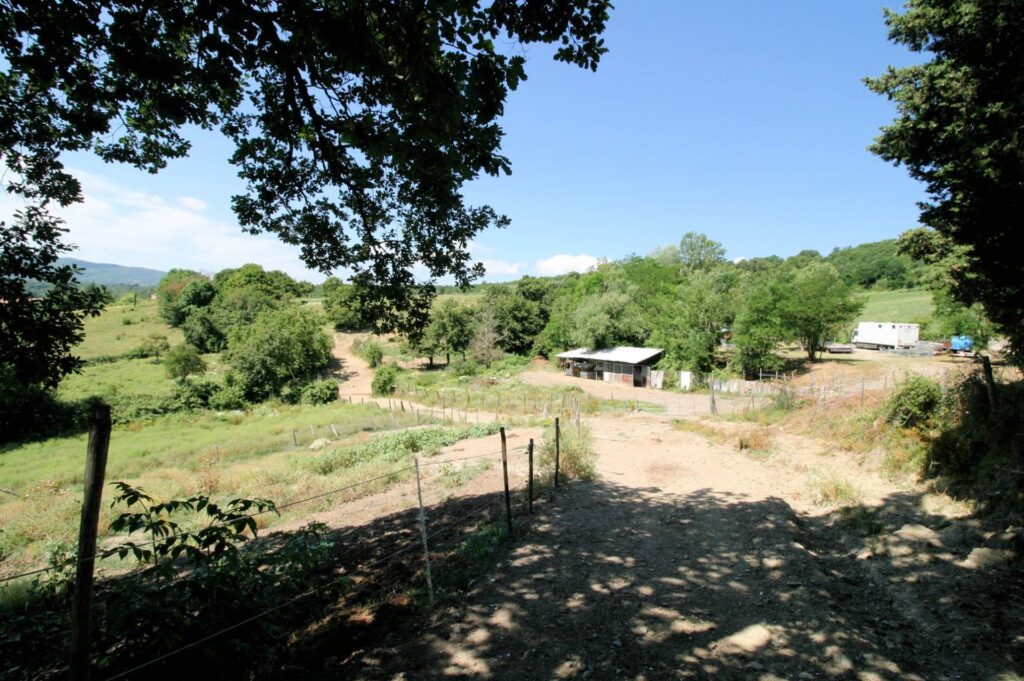 1454-Podere con vista lago per gli amanti dei cavalli-Barberino di Mugello-7 Agenzia Immobiliare ASIP