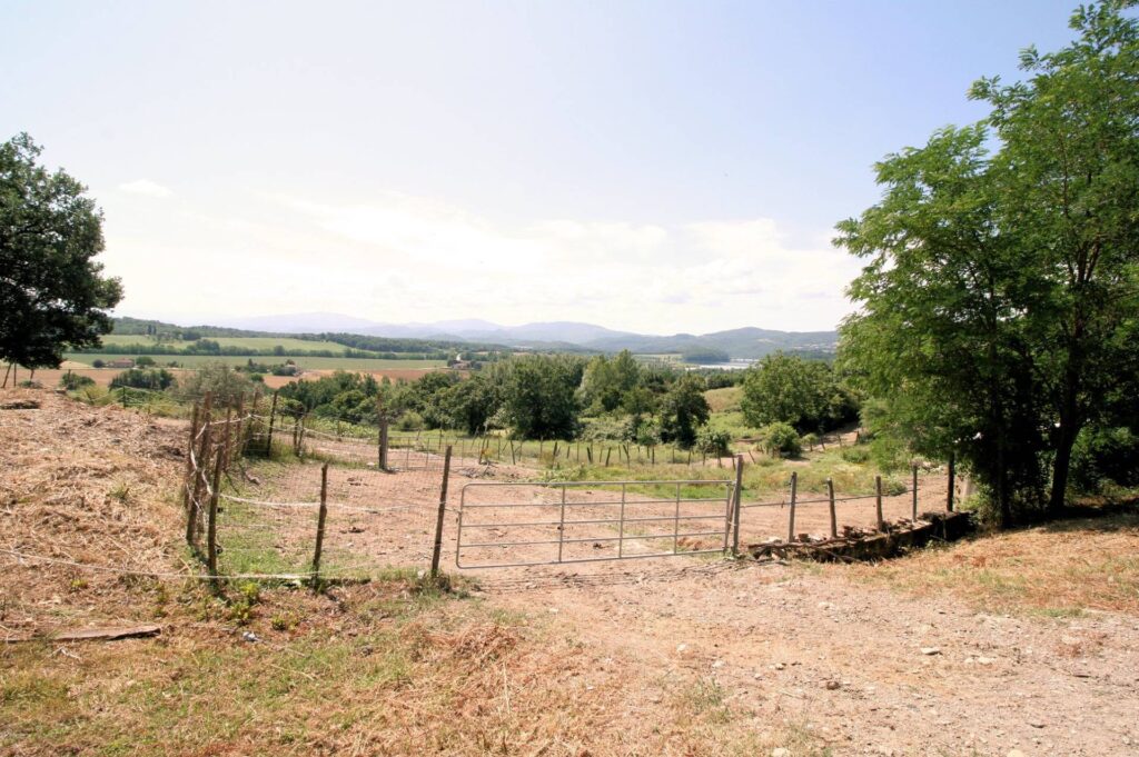 1454-Podere con vista lago per gli amanti dei cavalli-Barberino di Mugello-11 Agenzia Immobiliare ASIP