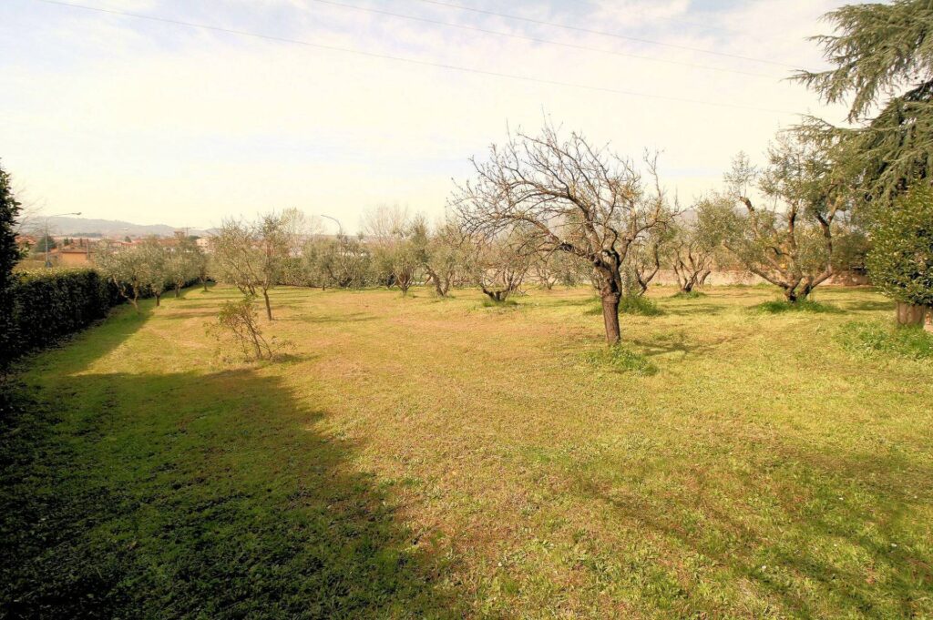 591-Villa di pregio con parco-Uzzano-7 Agenzia Immobiliare ASIP