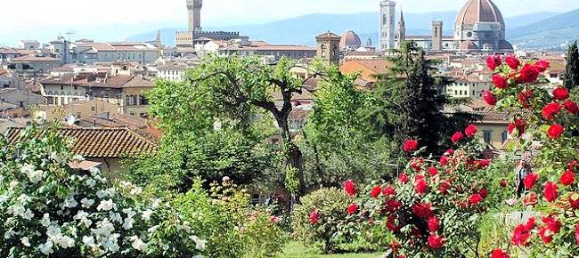 1478-Appartamenti di varie metrature e tipologie in città-Firenze-6 Agenzia Immobiliare ASIP