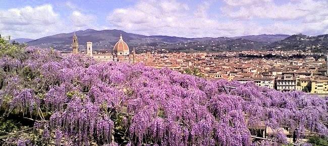 1478-Appartamenti di varie metrature e tipologie in città-Firenze-4 Agenzia Immobiliare ASIP